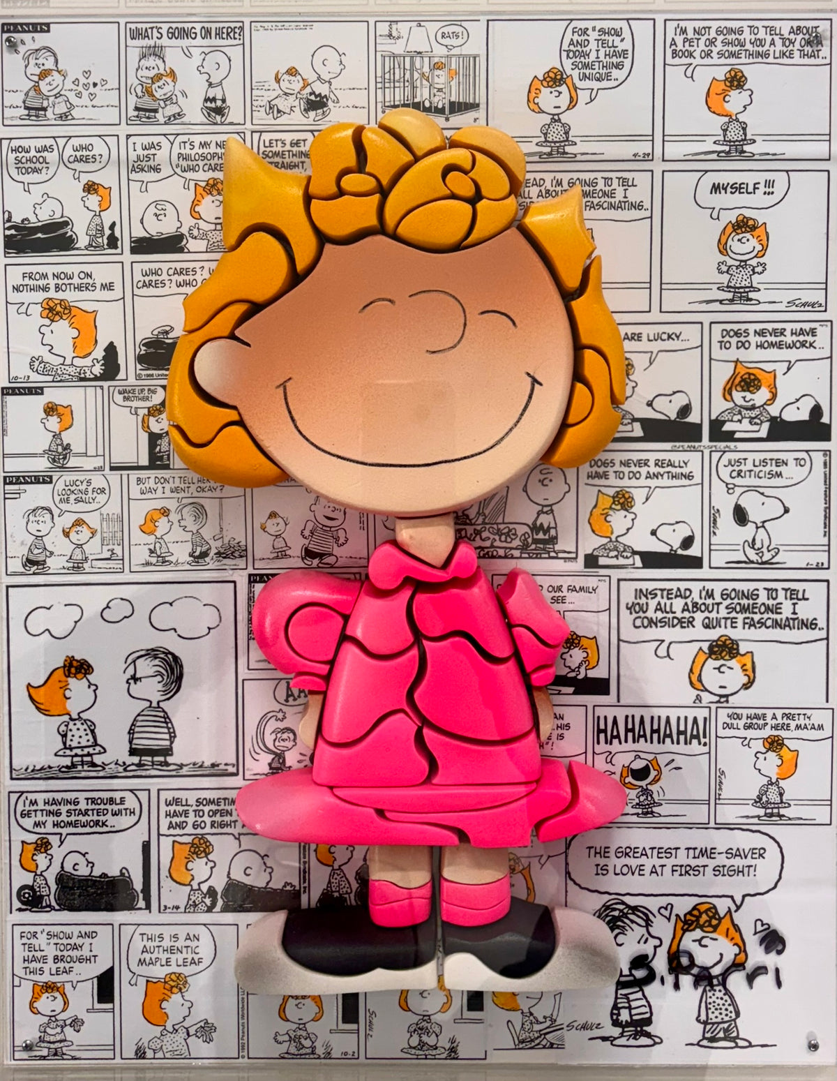 Sally  Peanuts - (In a Plexiglas Box)