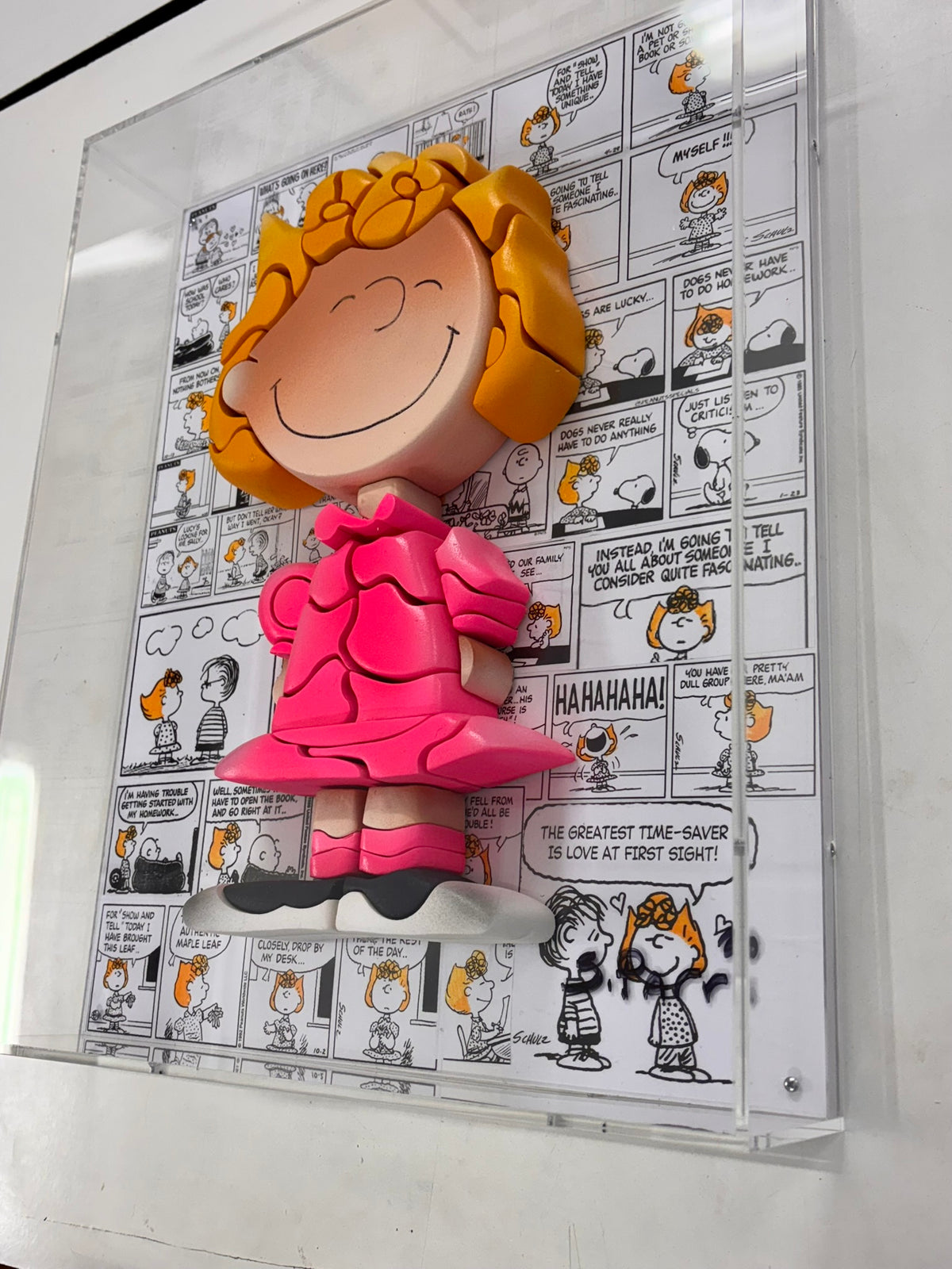 Sally  Peanuts - (In a Plexiglas Box)