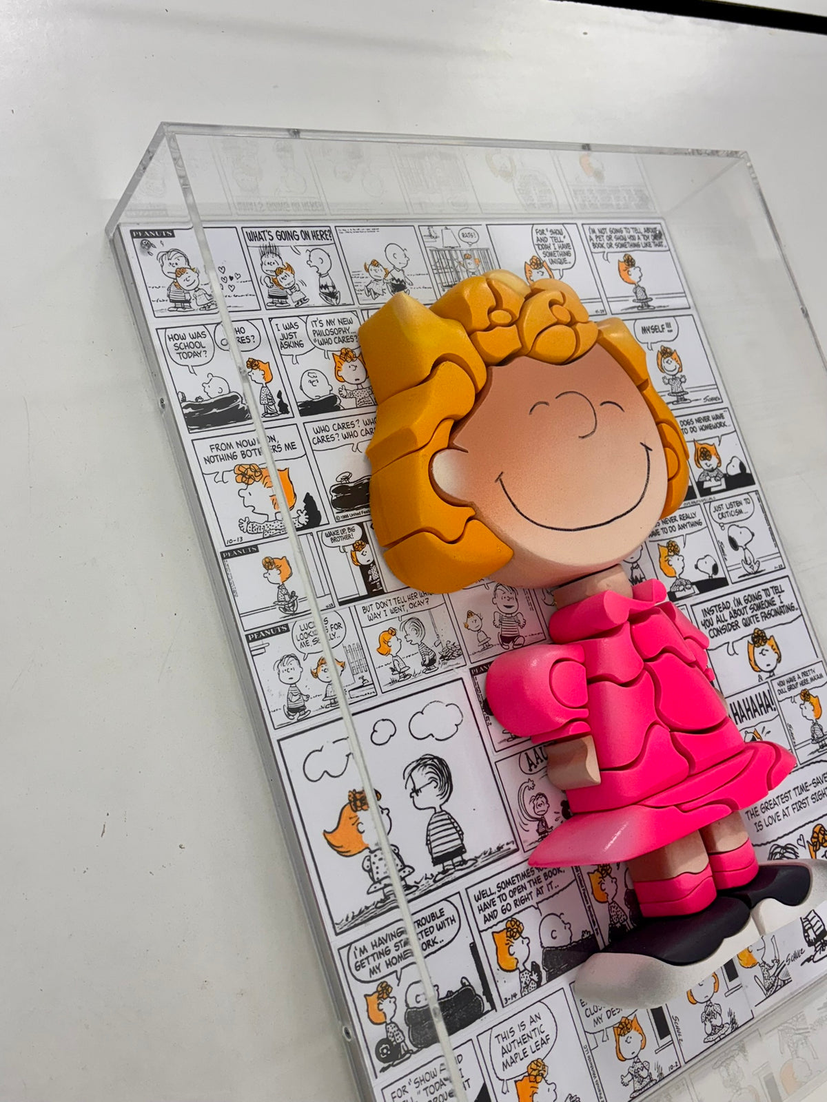 Sally  Peanuts - (In a Plexiglas Box)