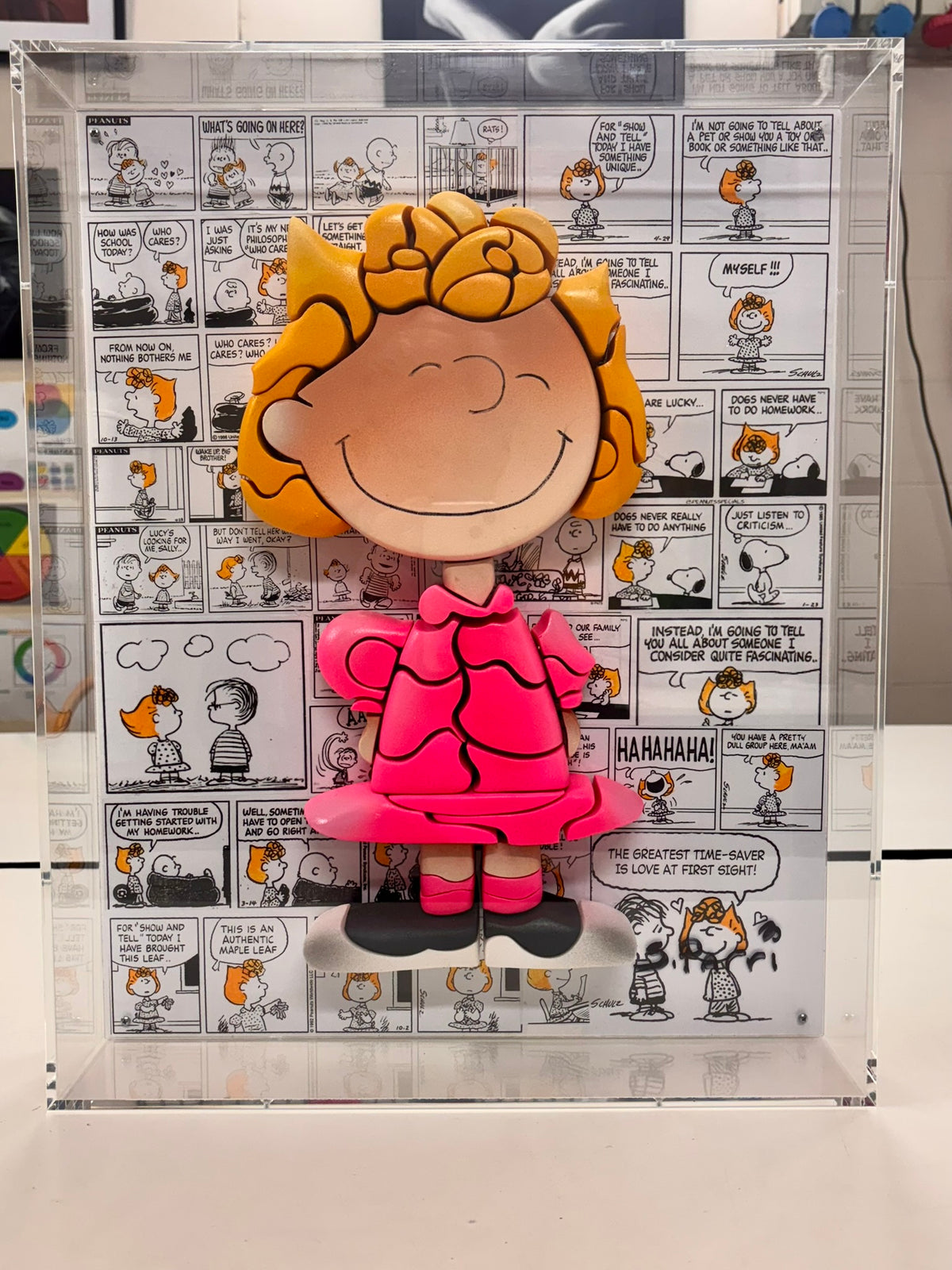 Sally  Peanuts - (In a Plexiglas Box)