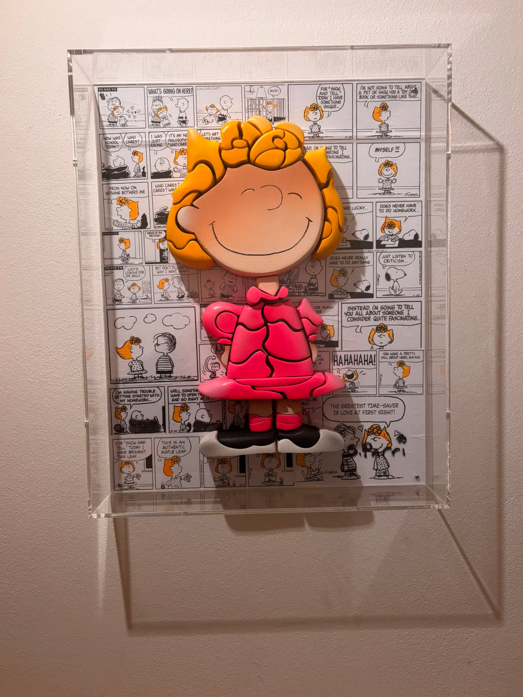 Sally  Peanuts - (In a Plexiglas Box)