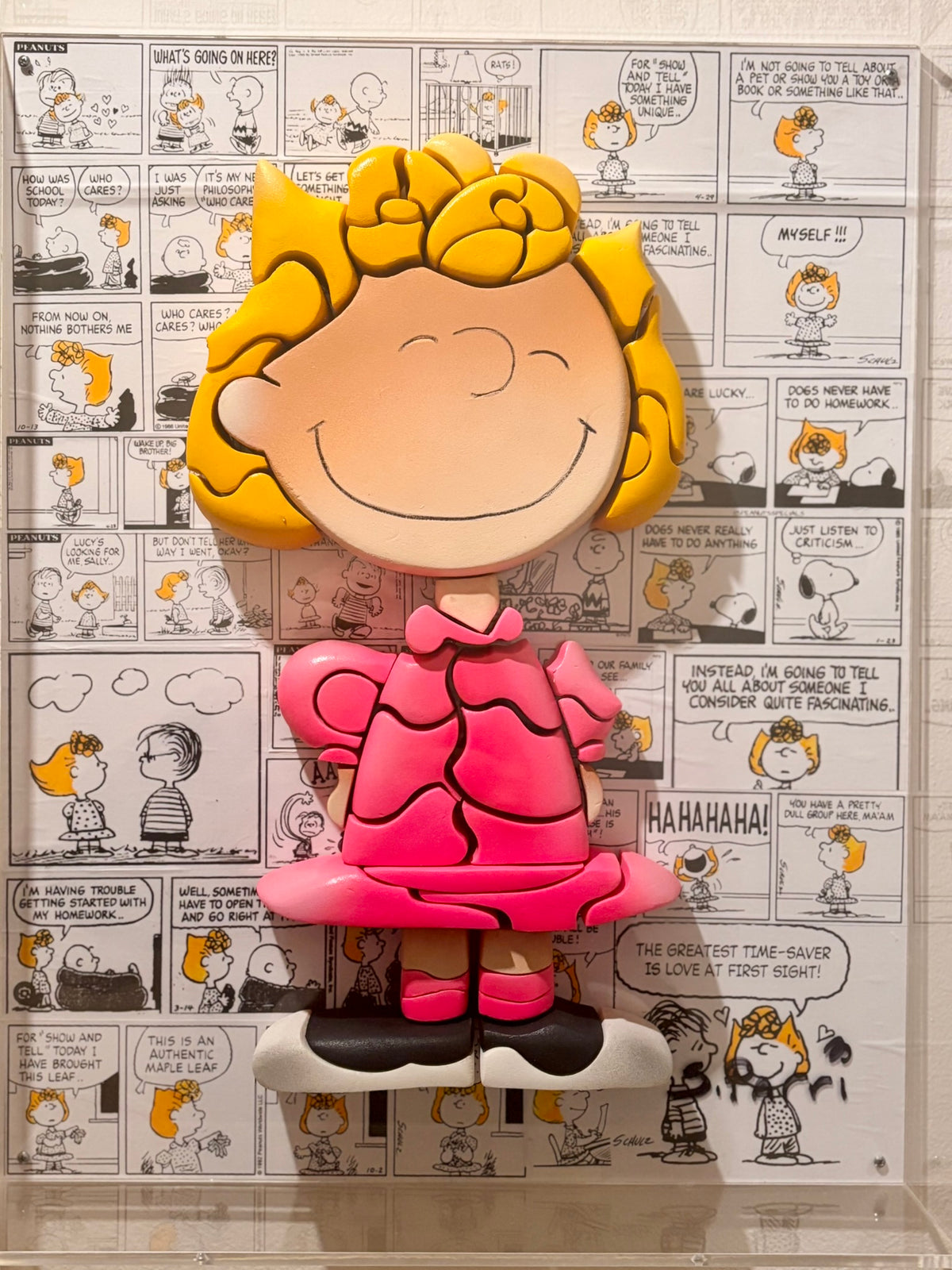 Sally  Peanuts - (In a Plexiglas Box)