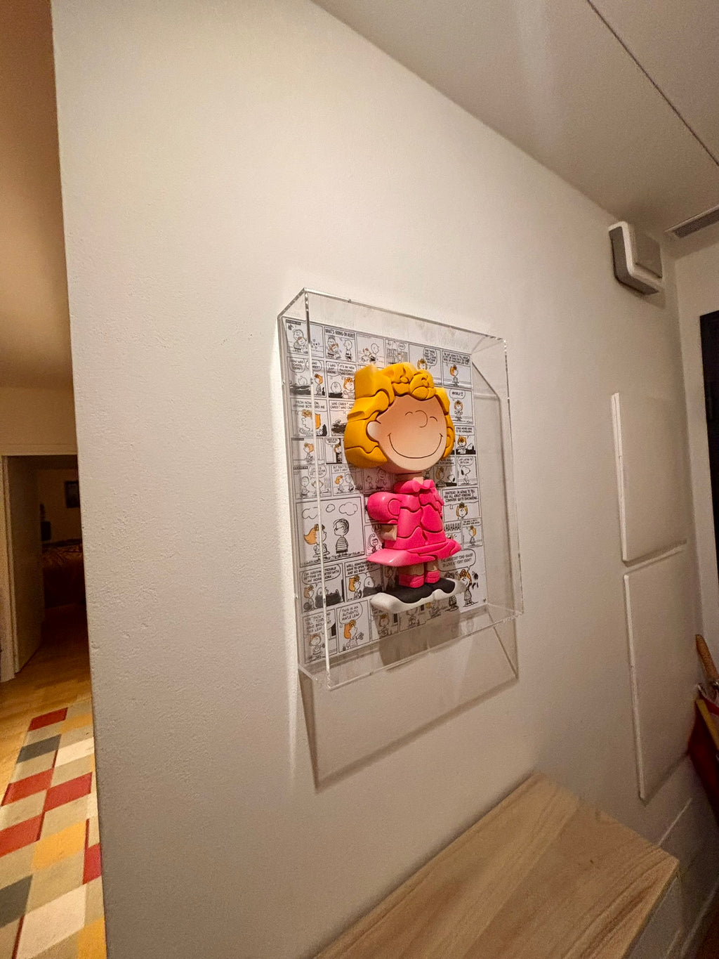 Sally  Peanuts - (In a Plexiglas Box)