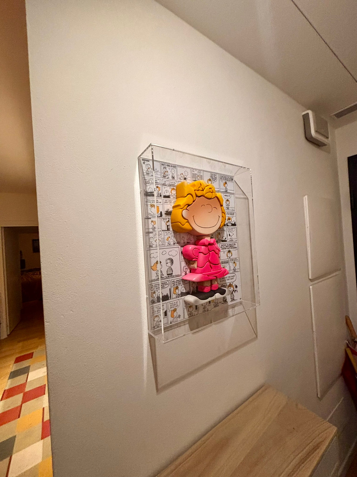 Sally  Peanuts - (In a Plexiglas Box)