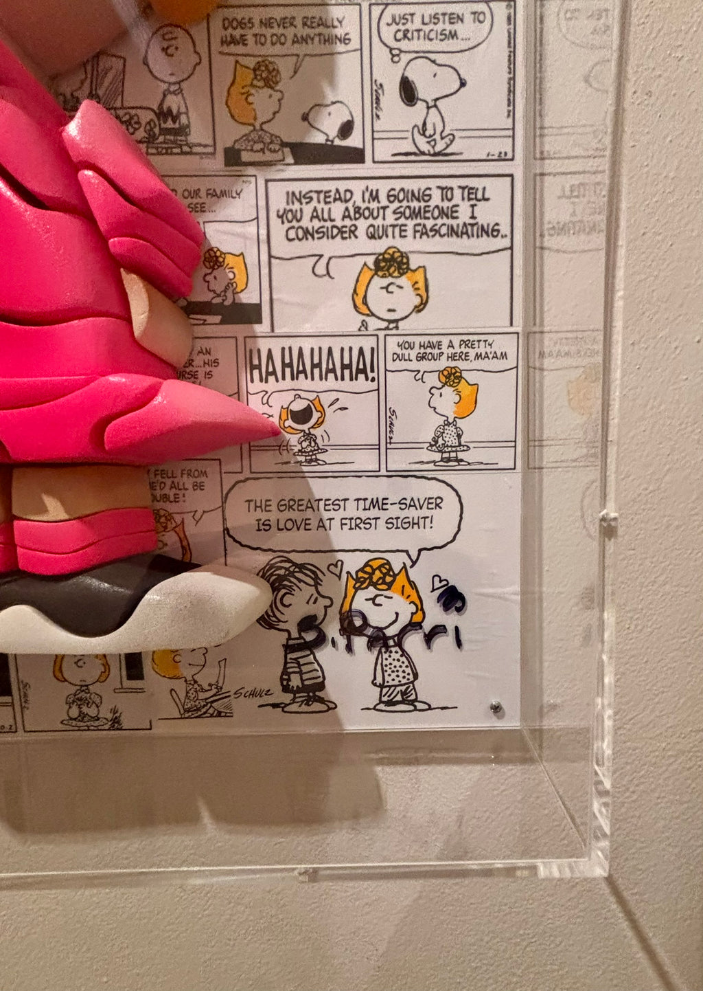 Sally  Peanuts - (In a Plexiglas Box)
